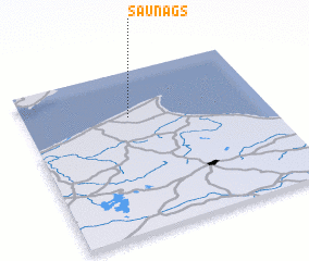 3d view of Saunags