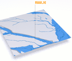 3d view of Mwalie