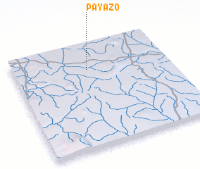 3d view of Payazo