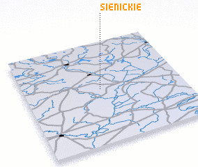 3d view of Sienickie