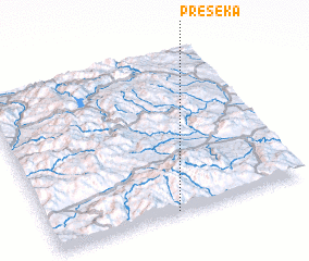 3d view of Preseka