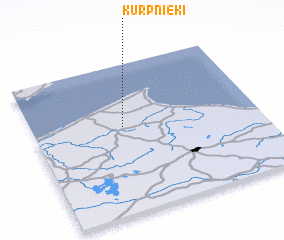 3d view of Kurpnieki