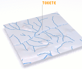 3d view of Tokete