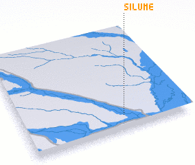 3d view of Silume