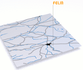 3d view of Felin