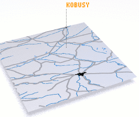 3d view of Kobusy