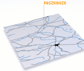 3d view of Paszki Duże