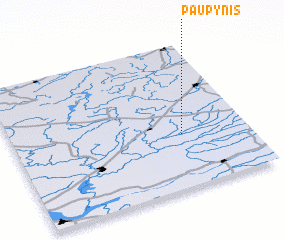 3d view of Paupynis