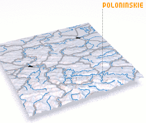 3d view of Połoninskie