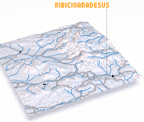 3d view of Ribicioara de Sus