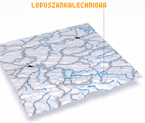 3d view of Łopuszanka Lechniowa