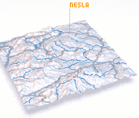 3d view of Nesla