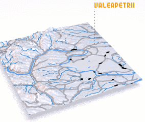 3d view of Valea Petrii