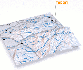 3d view of Copaci