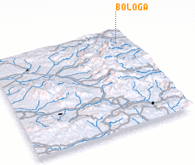 3d view of Bologa