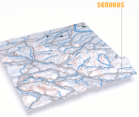 3d view of Senokos