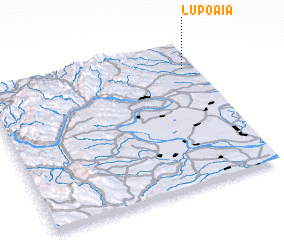 3d view of Lupoaia