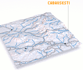 3d view of Căbăuşeşti