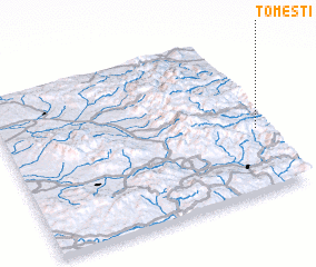 3d view of Tomeşti