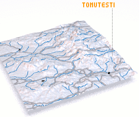 3d view of Tomuţesti