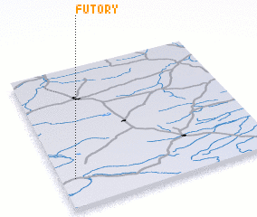 3d view of Futory