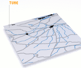 3d view of Tume