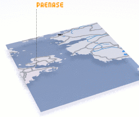 3d view of Paenase