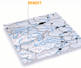 3d view of Brădeţ