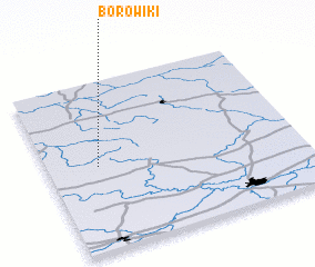 3d view of Borowiki