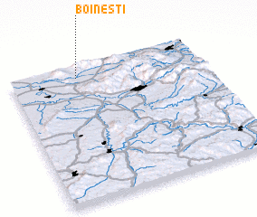 3d view of Boineşti