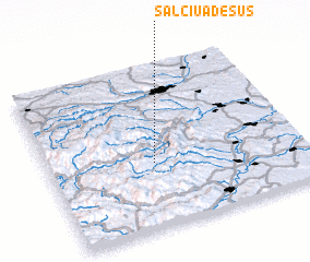 3d view of Sălciua de Sus