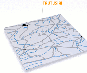 3d view of Tautušiai