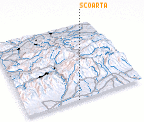 3d view of Scoarţa