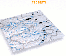 3d view of Tecşeşti