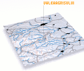 3d view of Valea Agrişului