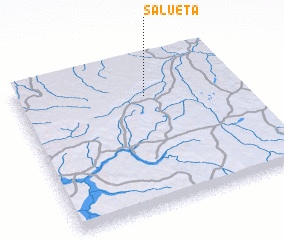 3d view of Salueta