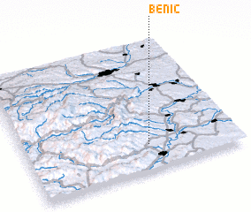 3d view of Benic