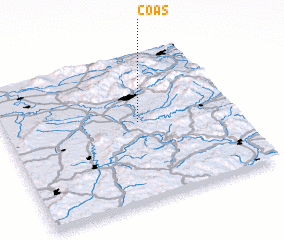 3d view of Coaş