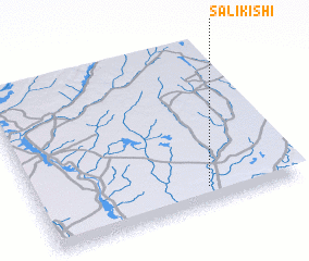 3d view of Salikishi