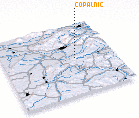 3d view of Copalnic