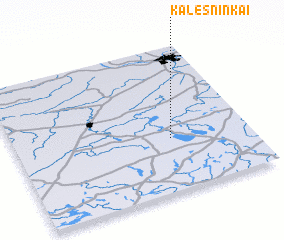 3d view of Kalesninkai