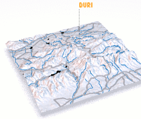 3d view of Duri