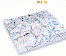 3d view of Urtica
