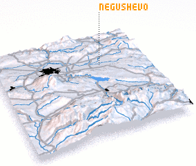 3d view of Negushevo