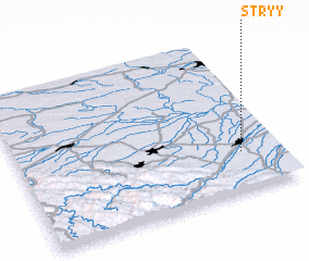 3d view of Stryy