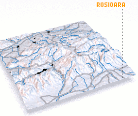 3d view of Roşioara