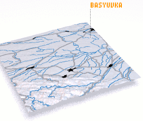 3d view of Basyuvka