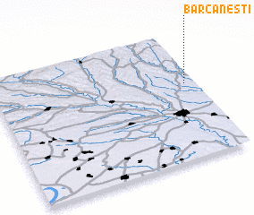 3d view of Bărcăneşti