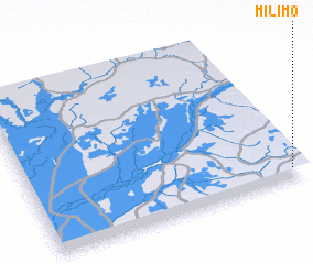 3d view of Milimo