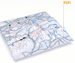 3d view of Popi